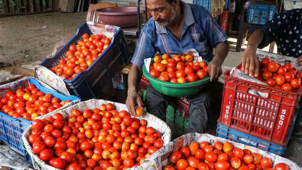 Tomato இனி தினம் தினம் தக்காளி சட்னி தானா.. தக்காளி விலை எவ்வளவு