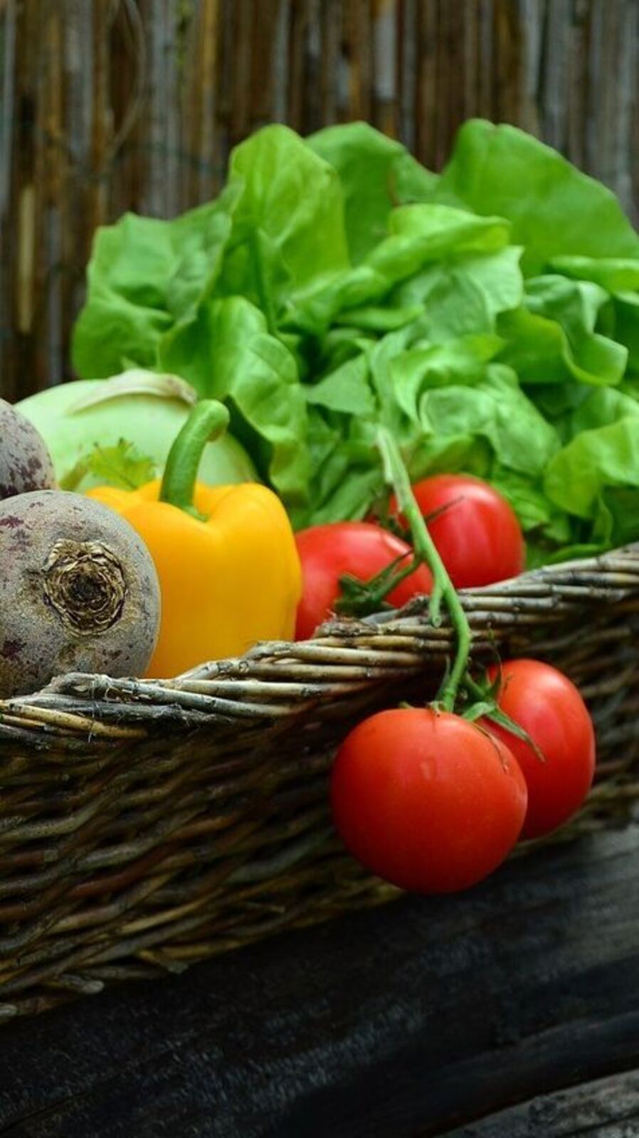 Immunity : உங்கள் நோய் எதிர்ப்பு சக்தியை மழைக்காலத்தில் அதிகரியுங்கள்