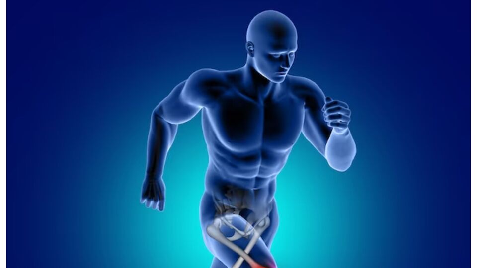 Bone Health: எலும்பு ஆரோக்கியத்துக்கு உதவும் 8 அற்புதமான ஊட்டச்சத்துக்கள்!