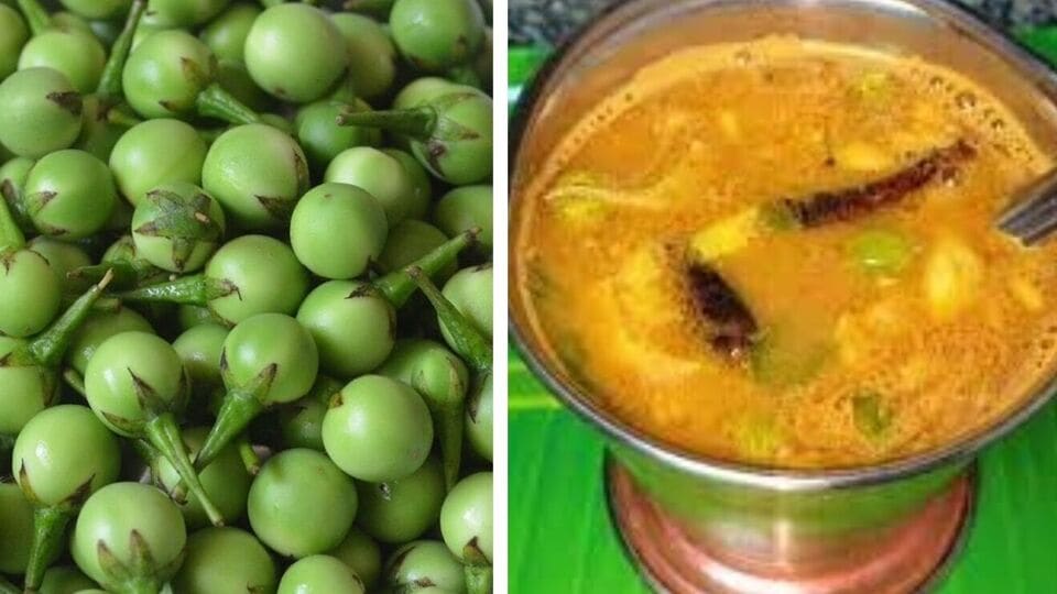 Sundaikai Rasam : உடலுக்கு பல நன்மைகள் தரும் சுண்டைக்காய் ரசம்! நோய் எதிர்ப்பை அதிகரிக்கும்!