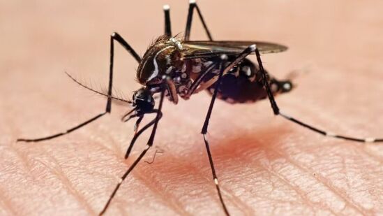 Dengue Death : மழை அவ்வப்போது பெய்து வருவதால், ஆங்காங்கே பல்வேறு காய்ச்சல்களால் குழந்தைகளும், பெரியவர்களும் பாதிக்கப்பட்டு வருகின்றனர். சென்னை சிறுவன் டெங்குவுக்கு பலியான சம்பவம் பெரும் சோகத்தை ஏற்பட்டுள்ளது.