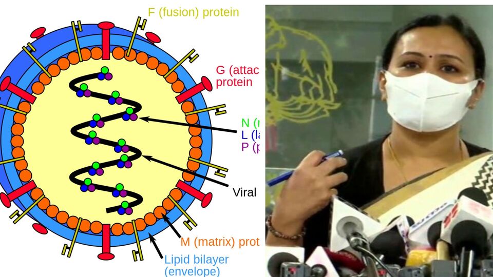 Kerala: வருது வருது நிபா வைரஸ் - இரண்டு பேர் பலி - ஹெல்த் அலெர்டில் கோழிக்கோடு!