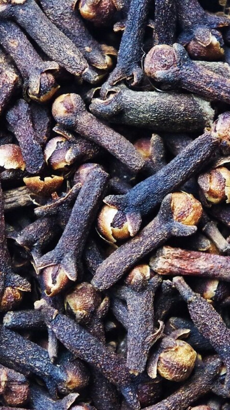 Clove Benefits : மலச்சிக்கல், வாயு, அஜீரணம் போன்ற பிரச்னைகள் குறைய இதை சாப்பிடுங்கள்!