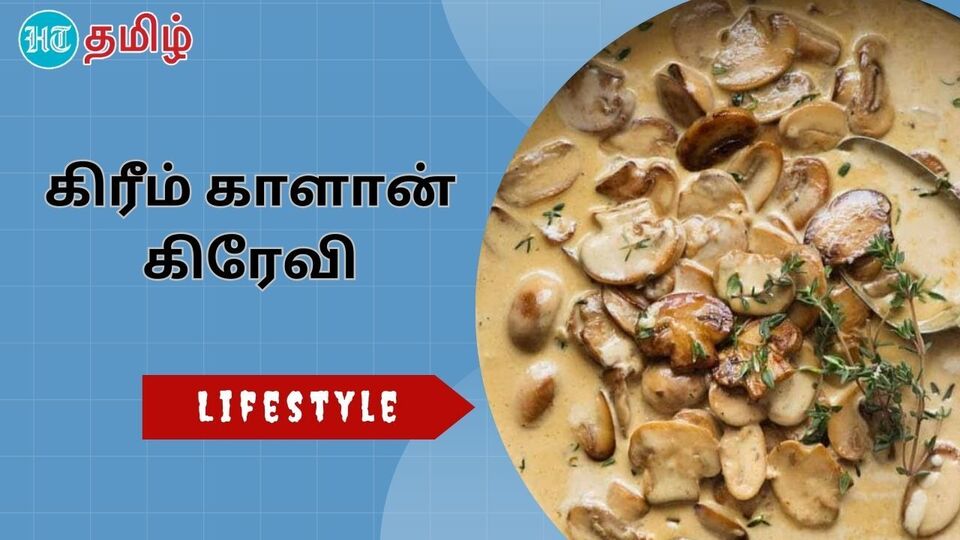Creamy Mushroom Gravy : பரோட்டாவுக்கு இந்த மாதிரி கிரீம் காளான் கிரேவி
