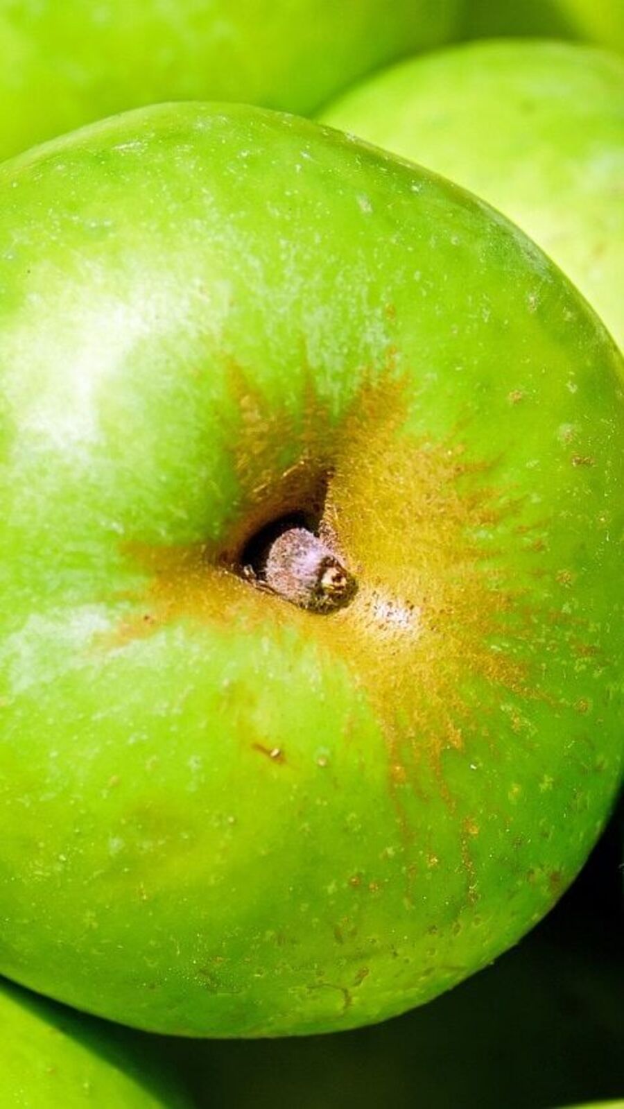 Green Apples : உடல் எடை குறைக்க விரும்புபவர்களுக்கு பச்சை ஆப்பிள் சாப்பிடுங்கள்!