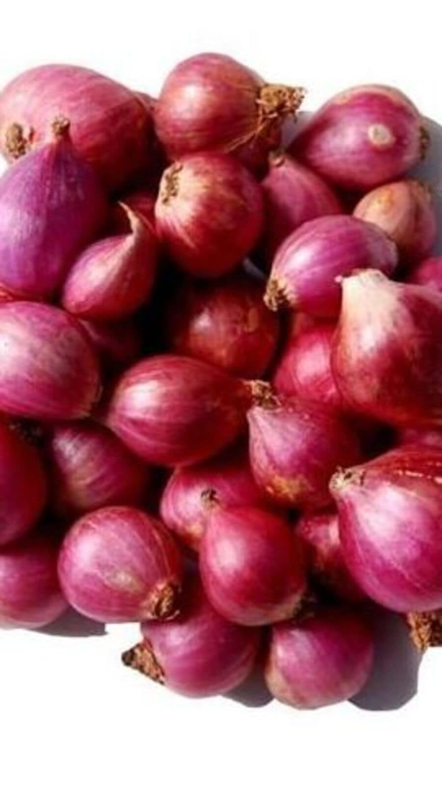 சின்ன வெங்காயத்தின் மருத்துவ குணங்கள்