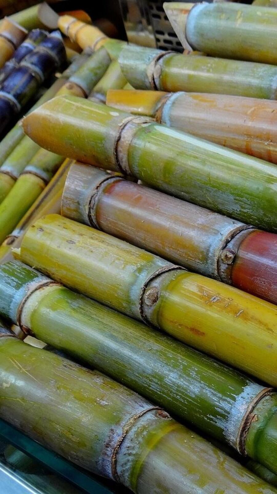 மனதை இதமாக்கும் கட்டிக்கரும்பில் இத்தனை நன்மைகளா?