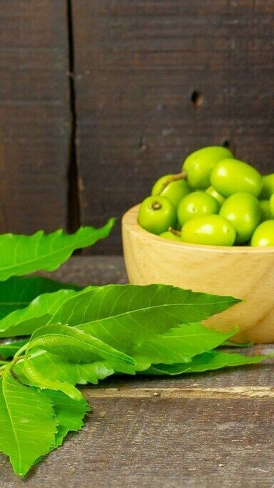 வேப்ப மரப்பொருட்களில் கிடைக்கும் நன்மைகள்