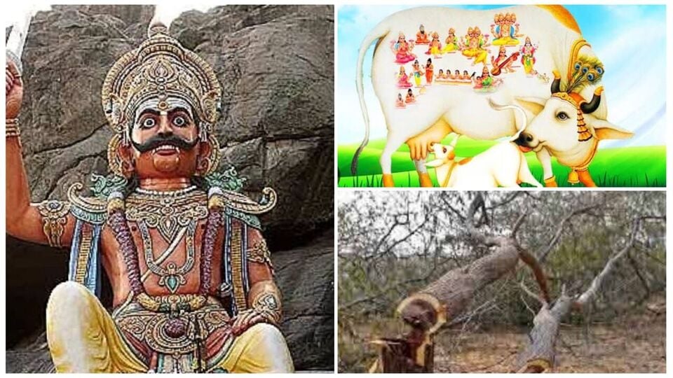 Curses and Remedies: தலைமுறை தலைமுறையாய் நம்மை துரத்தும் சில சாபங்களும் பரிகாரங்களும்!