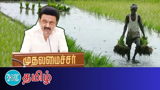 ”தற்போது டெல்டா மாவட்டங்களில் ஏறத்தாழ 40 ஆயிரம் ஏக்கர் பரப்பில் பயிரிடப்பட்டுள்ள நெற்பயிர்கள் வாடிய நிலையில் பாதிக்கப்பட்டுள்ளது”