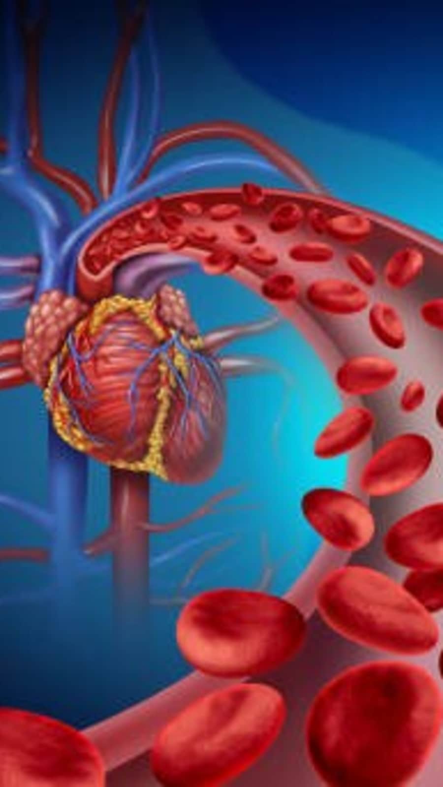 ரத்த ஓட்டம் சீராக வேண்டுமா?..அப்போ இதைச் சாப்பிடுங்கள்