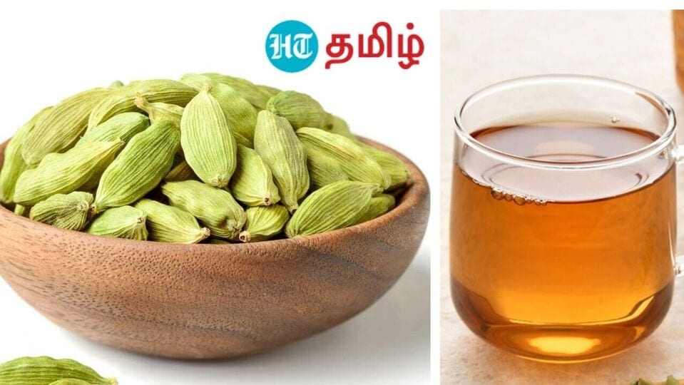 Benefits of Cardamom : வாய் துர்நாற்றம் முதல் வாயுத்தொல்லை வரை - ஒரே ஒரு ஏலக்காயில் தீர்வு!