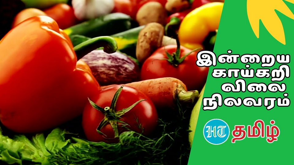 Vegetables Today Price ‘கத்தரிக்காய் முதல் வாழைப்பூ வரை’ இன்றைய