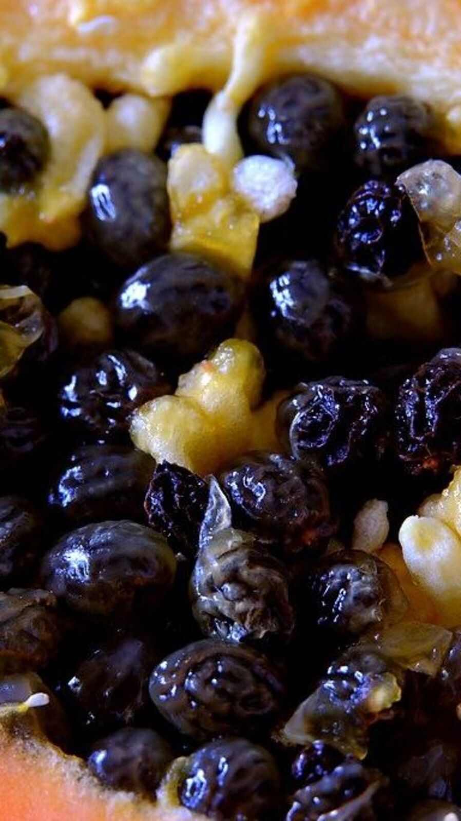 கூந்தல் வளர்ச்சிக்கு பப்பாளி விதை சாப்பிடுங்கள்!