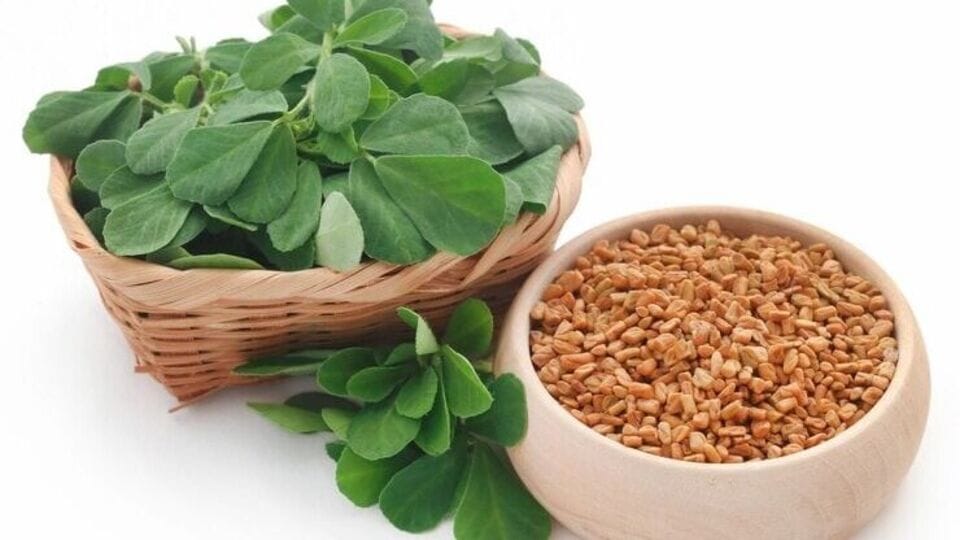 Asthma: ஆஸ்துமா உள்ளிட்ட பல பிரச்சனைகளை போக்க உதவும் வெந்தயத்தில் இத்தனை நன்மைகளா?