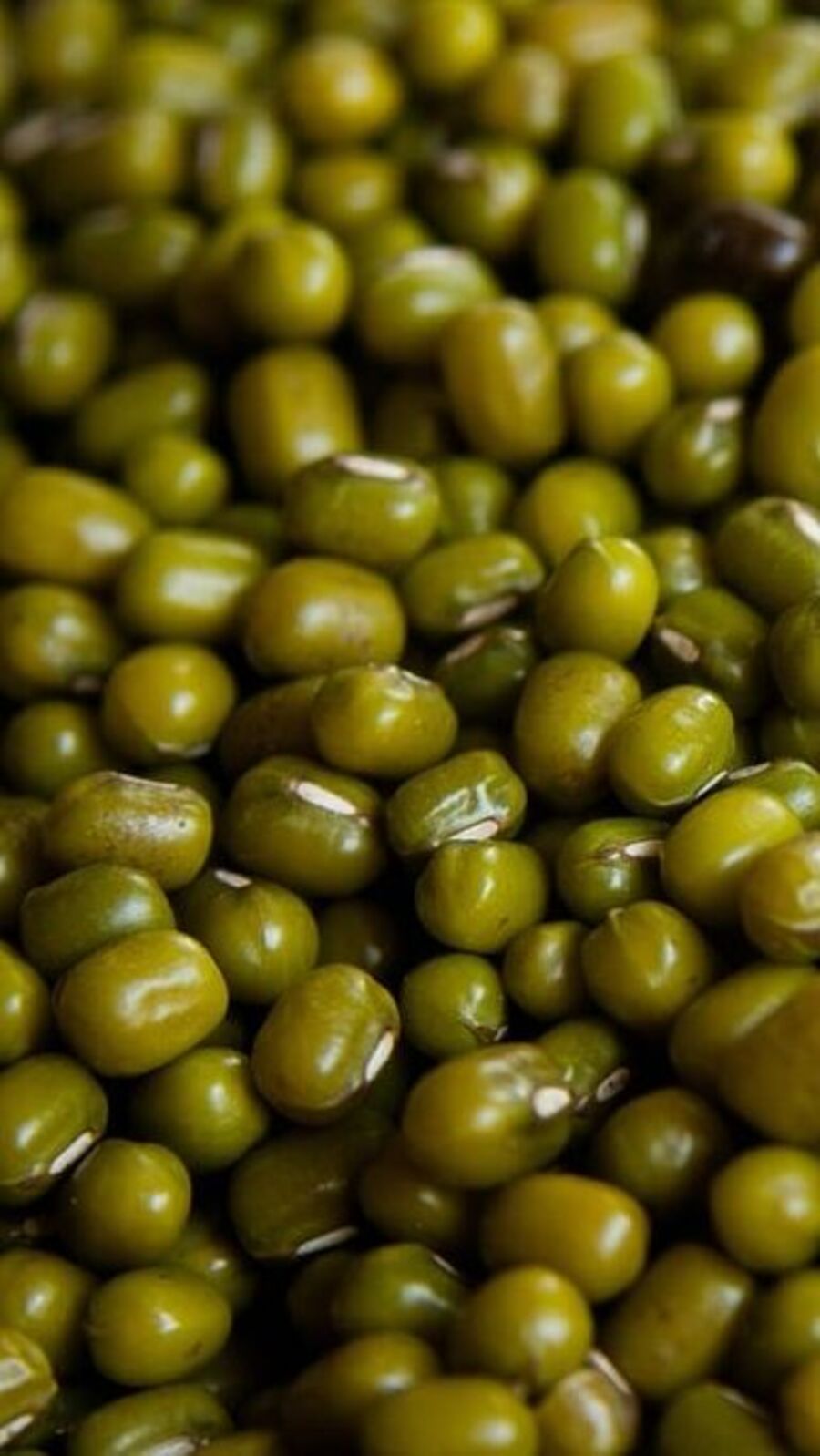 சர்க்கரை நோயின் அளவை குறைக்கும்.. பச்சை பயிறு நன்மைகள்!