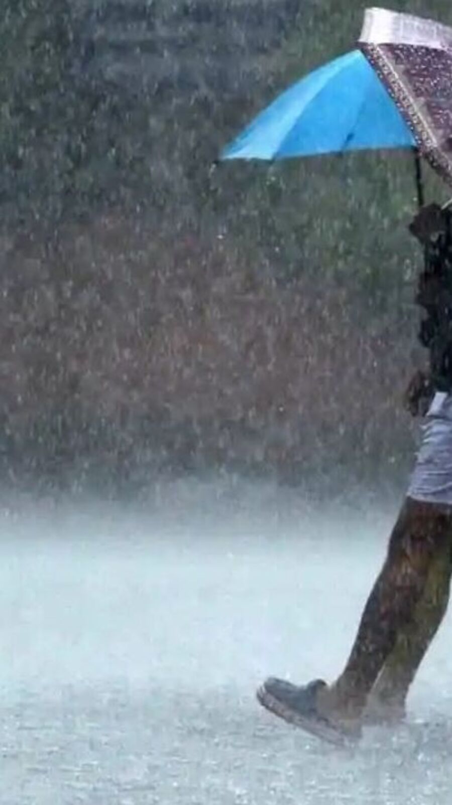 Astrological Weather Forecasting: 'மழை பெய்வதை முன்கூட்டியே கணிப்பது எப்படி?' ஜோதிடர் சொல்லும் எளிய தகவல்