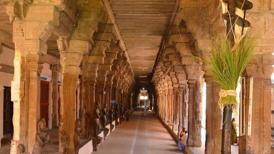 சுவாமி நெல்லையப்பர் திருக்கோயிலுக்குள் உள்ள மணி மண்டபத்தில் காணப்படும் சங்கீதத் தூண்கள் சிறப்பு பெற்றவையாகும்.