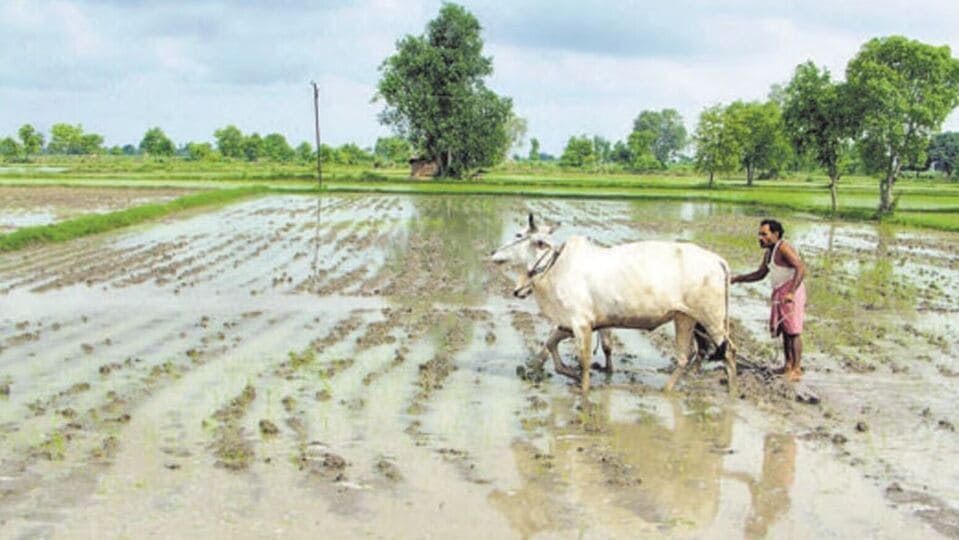 Agriculture Land : தொழில் நிறுவனங்களாகும் வேளாண் நிலங்கள்