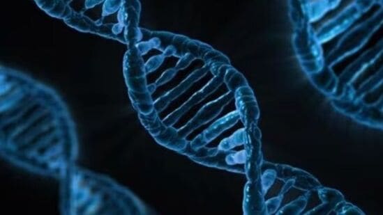 Intresting Facts of Genes : மரபணுக்கள் – இத்தனை சுவாரஸ்யங்கள் நிறைந்தவையா? Intresting Facts of Genes : மரபணுக்கள் – இத்தனை சுவாரஸ்யங்கள் நிறைந்தவையா?