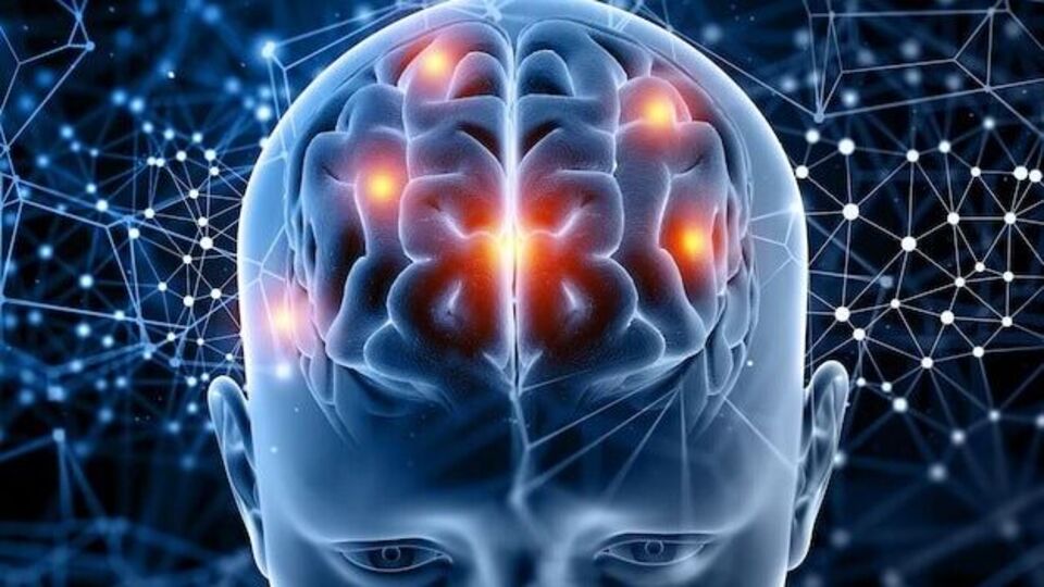 Brain Power: புத்திசாலியா இருக்கணுமா? அப்போ இந்த ஒரு உணவு சாப்பிடுங்க!