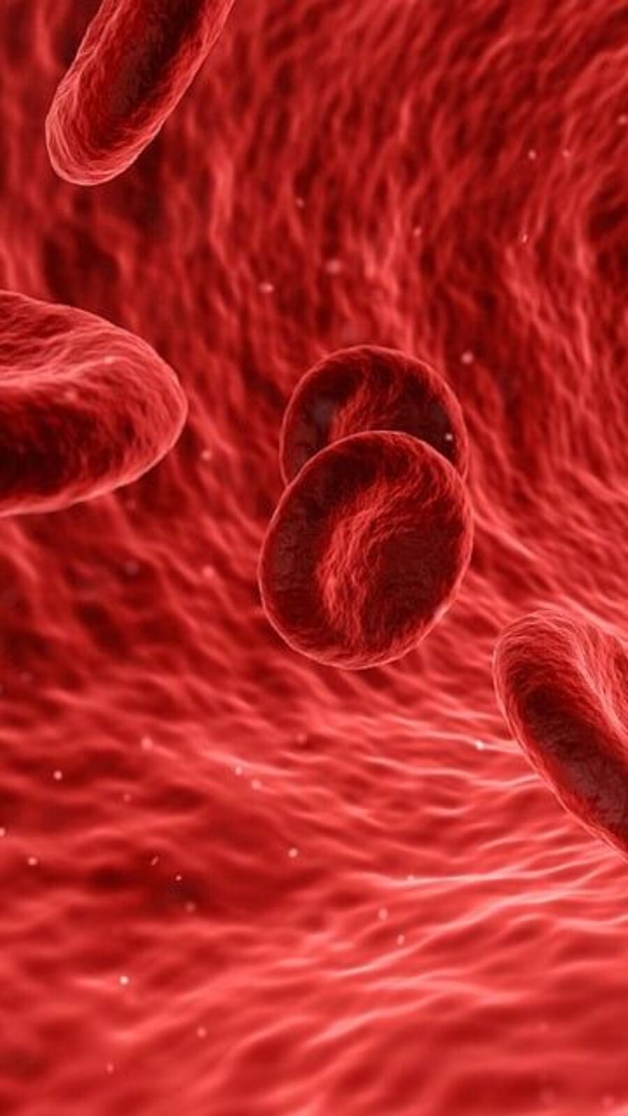 நோய் எதிர்ப்பு சக்தி தரும் உணவுகள்