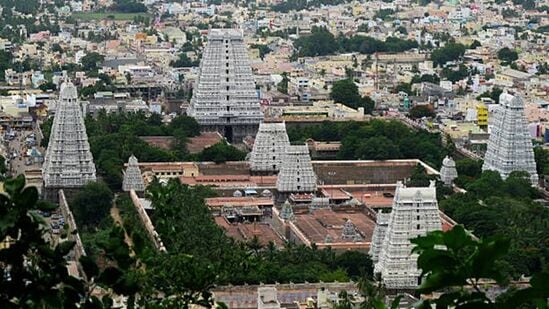 கிழக்கே ராஜகோபுரம் (217 அடி உயரம்), வீரவல்லாள கோபுரம், கிளி கோபுரம் (81 அடி உயரம்); தெற்கே திருமஞ்சன கோபுரம் (157 அடி உயரம்), தெற்கு கட்டை கோபுரம் (70 அடி உயரம்); மேற்கே பேய் கோபுரம் (160 அடி உயரம்), மேற்கு கட்டை கோபுரம் (70 அடி உயரம்); வடக்கே அம்மணி அம்மன் கோபுரம் (171 அடி உயரம்), வடக்கு கட்டை கோபுரம் (45 அடி உயரம்).