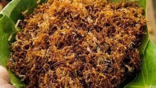 சிவப்பு எறும்பு சட்னி சிவப்பு எறும்பு சட்னி