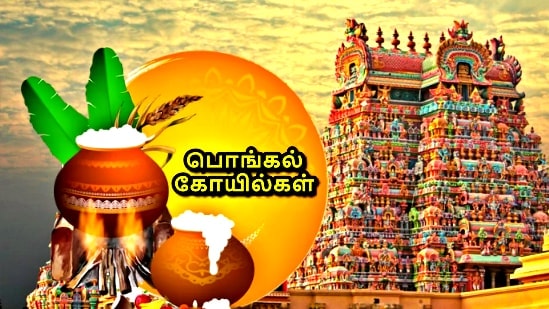 மார்கழி மாதத்தின் கடைசி நாளான போகித் திருநாளன்று வீட்டை சுத்தம் செய்து பழைய பொருட்களை அழித்துவிட்டு, புதிய பொருட்களை வீட்டுக்குள் கொண்டுவரும் நாளாக போகித் திருநாள் கொண்டாடப்பட்டு வருகிறது. சூரியனை வழிபாடு செய்யும் பொங்கல் திருநாள் அன்று வீடு கோயிலாக காட்சியளிப்பதற்காக முதல் நாளே போகிப் பண்டிகை கொண்டாடப்படுகிறது.&nbsp;&nbsp;