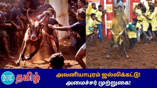 ”Avaniyapuram Jallikattu 2024: போட்டியில் வெற்றி பெறும் சிறந்த காளை மற்றும் மாடுபிடி வீரருக்கு முதலமைச்சர் சார்பில் கார் பரிசாக வழங்கப்படுகிறது”