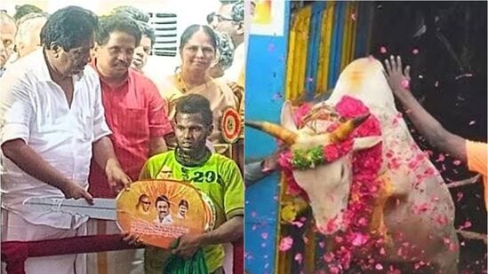 Alanganallur Jallikattu 2024: தைப்பொங்கலை முன்னிட்டு இன்று காலை 7 மணிக்கு துவங்கிய உலகப்புகழ்பெற்ற அலங்காநல்லூர் ஜல்லிக்கட்டு போட்டி நிறைவடைந்தது.