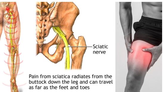 Nerve System : இந்த ஒரு பானமும், ஒரு பயிற்சியும் போதும்! உங்கள் ஒட்டுமொத்த நரம்பு மண்டலமும் சுறுசுறுப்பு பெறும்!