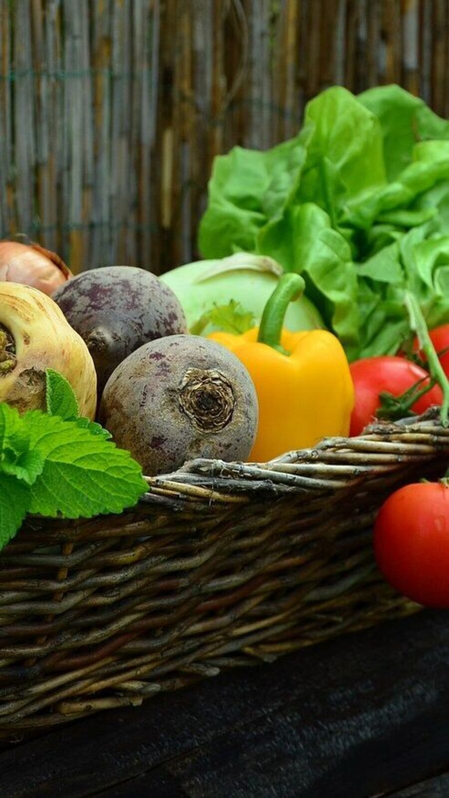 Pancreas: கணையத்தை பாதுகாக்க உதவும் உணவுகள்