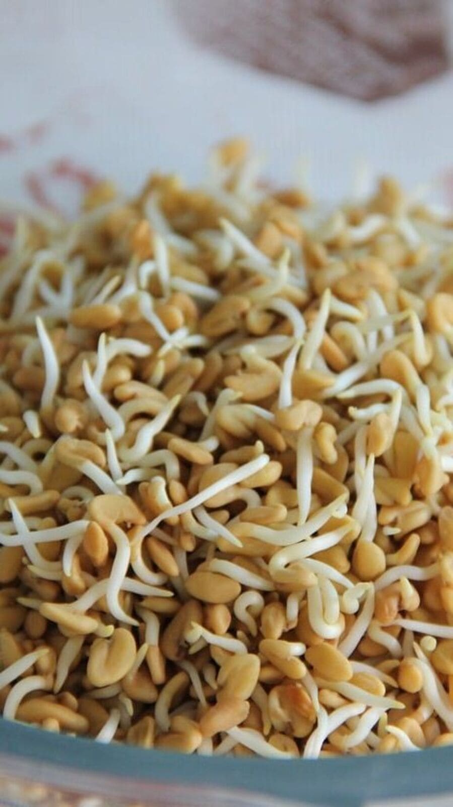 நீரிழிவு நோயாளிகளுக்கு நல்ல மருந்து.. வெறும் வயிற்றில் வெந்தய தண்ணீர் குடிப்பதால் கிடைக்கும் நன்மைகள்!