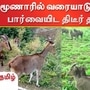 மூணார் ராஜமலையில் வரையாடுகளை பார்வையிட வனத்துறை தடை விதித்துள்ளது.