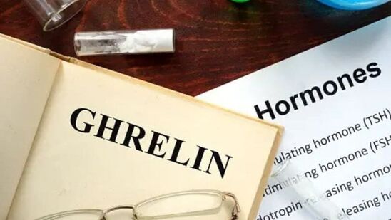 கிரெலின் என்பது லெப்டினுக்கு எதிரானது. கிரெலின் ஒரு பசி ஹார்மோன் ஆகும், இதன் முக்கிய செயல்பாடு பசியை அதிகரிப்பதாகும்.