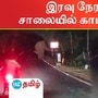 பழனி-கொடைக்கானல் சாலையில் உலா வந்த காட்டு யானை