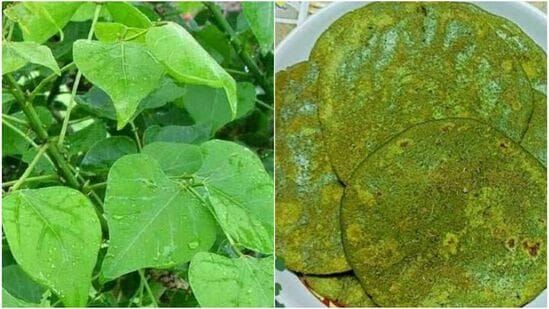 முள்ளு முருங்கை இலை அடை முள்ளு முருங்கை இலை அடை