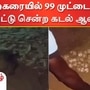 திருச்செந்தூர் கடற்கரையில் 99 முட்டைகளை இட்டு சென்ற கடல் ஆமை.