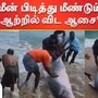 Dolphin : 'வலையில் சிக்கிய டால்ஃபின்கள்; பத்திரமாக கடலில் விட்ட மீனவர்கள்’