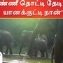 தமிழ்நாடு யானைகள் மற்றும் வனவிலங்குகள் சரணாலயத்தில் மனிதர்கள் செல்ல முடியாத அடவனப்பகுதிக்குள் வைக்கப்பட்டுள்ள தண்ணீர் தொட்டி அருகே தங்கள் குட்டிகளுடன் விளையாடி மகிழ்ந்திருக்கும் யானை கூட்டம். தமிழக வனத்துறை இதுபோன்ற தண்ணீர் தொட்டிகளை காட்டில் உள்ள விலங்குகளுக்காக ஆங்காங்ககே வைத்து, கோடை காலத்தில் விலங்குகளுக்கு போதிய அளவு தண்ணீர் கிடைக்க வழிவகை செய்துள்ளது. இதுபோன்ற தண்ணீர் தொட்டிகள் கடந்த 17 ஆண்டுகளாக துவங்கப்பட்டுள்ளது. தற்போது 18வது ஆண்டாக வைக்கப்பட்டுள்ளது. பருவ நிலை மாற்றத்துக்கான தமிழக பல்லுயிர் பாதுகாப்பு மற்றும் பசுமை திட்டத்தின் கீழ் இப்பணிகள் நடைபெற்று வருகிறது.    