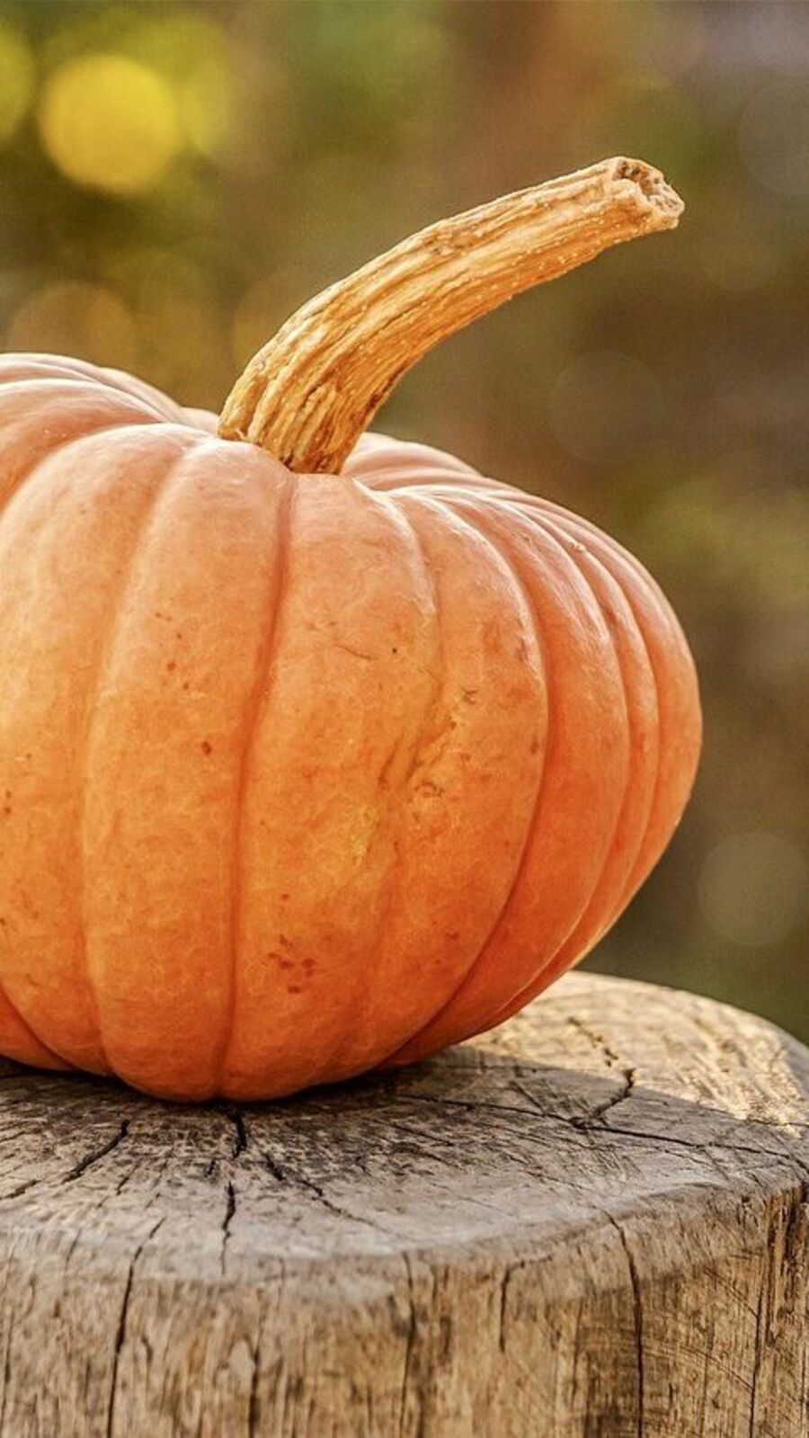 மஞ்சள் பூசணியில் மறைந்து இருக்கும் சத்துகள் என்னென்ன?