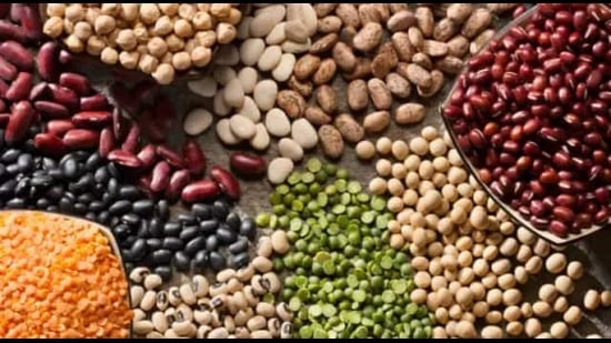 பருப்பு வகைகளான கிட்னி பீன்ஸ், கொண்டைக்கடலை, உளுந்து போன்றவற்றில் கால்சியம் சத்து அதிகம் இருப்பதால் சாலட்களில் சேர்க்க வேண்டும்.