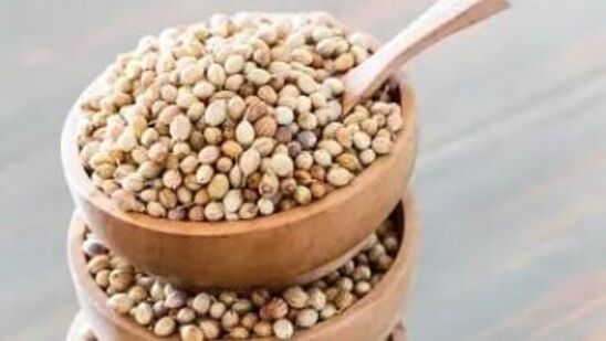 கொத்தமல்லி விதைகள் சிறுநீரகங்களை ஆரோக்கியமாக வைத்திருக்கின்றன, இது உடலில் விரைவான சிறுநீர் உற்பத்தியை ஏற்படுத்துகிறது.