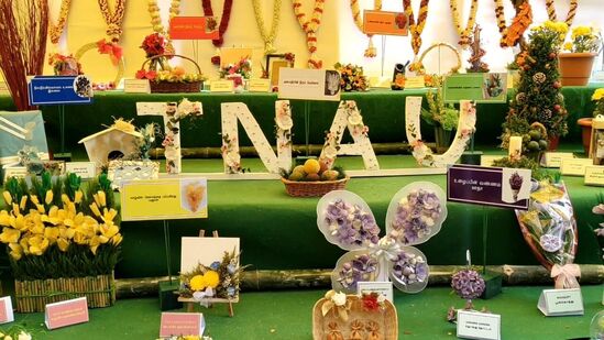 கோவையில் உள்ள தமிழ்நாடு வேளாண் பல்கலைக்கழகத்தில் ஆறாவது மலர் கண்காட்சி துவங்கியது.&nbsp;
