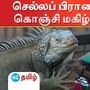 கேரளாவில் செல்லப் பிராணி திருவிழா