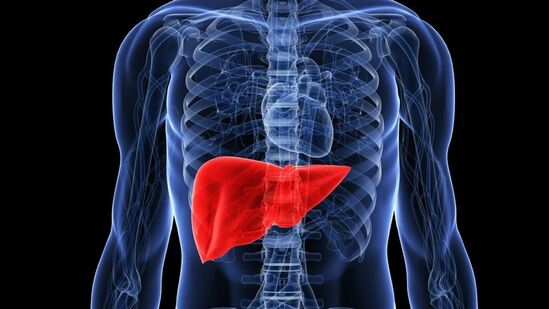 Liver Detoxification : மதுபிரியரா நீங்கள்? தினமும் இருவேளை கட்டாயம்! கல்லீரலை சுத்தம் செய்யும் இந்த பானம்!