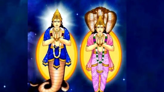நவகிரகங்களில் அசம கிரகமாக விளங்க கூடியவர் ராகு பகவான். இவர் எப்போதும் பின்னோக்கிய பயணத்தில் இருக்கக்கூடியவர். ராக்குபகவான் தனக்கென ஒரு சொந்த ராசி இல்லாமல் விளங்கி வருகின்றார். சனி பகவானுக்கு பிறகு அனைவரும் கண்டு அச்சப்படும் கிரகமாக விளங்கி வருகின்றார்.