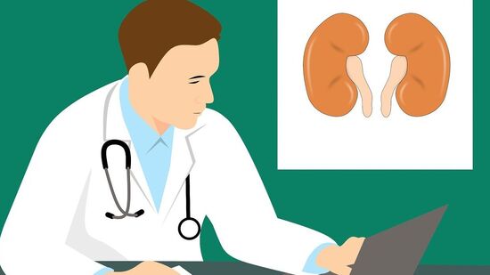 Kidney Care : தமிழகத்தில் அதிகரிக்கும் சிறுநீரக பாதிப்புகள் – என்ன செய்யலாம் – ஓர் அலசல்! Kidney Care : தமிழகத்தில் அதிகரிக்கும் சிறுநீரக பாதிப்புகள் – என்ன செய்யலாம் – ஓர் அலசல்!
