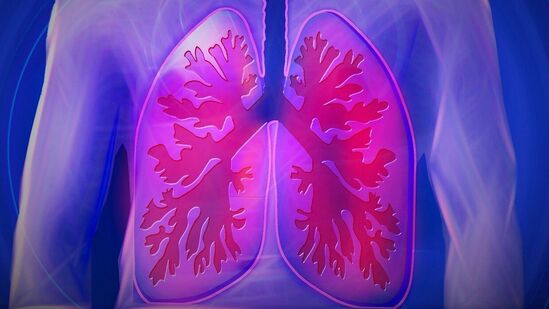 lung care : உங்களின் பல்வேறு பிரச்னைகளுக்கு தீர்வுகொடுக்கும் இந்த மூலிகையை பயன்படுத்தி பலன்பெறுங்கள். பெரும்பாலும் இதை அடிக்கடி சேர்ப்பதை உறுதிப்படுத்தினால் போதும். உங்கள் உடல் ஆரோக்கியம் மேம்பட உதவும்.